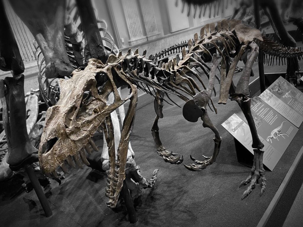 Dinosaur Discovery Museum Kenosha Wisconsin